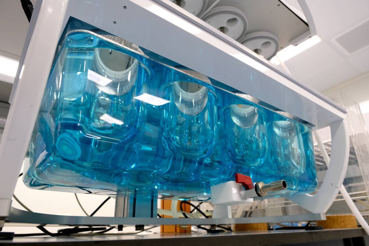 Компания из ОЭЗ «Технополис Москва» начнет поставки лекарств в Оман