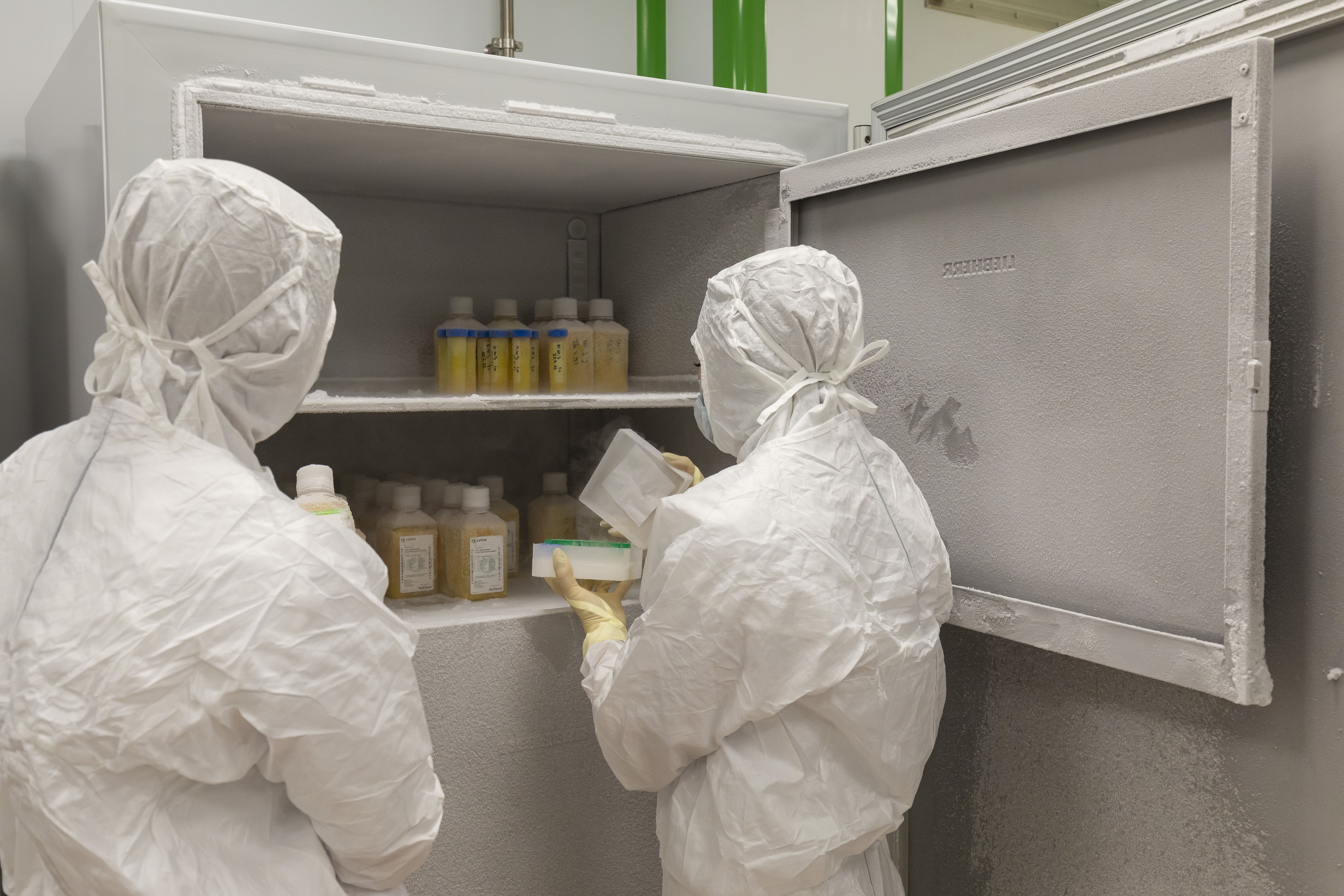 Столичные промышленники наращивают производство продукции для домашних питомцев