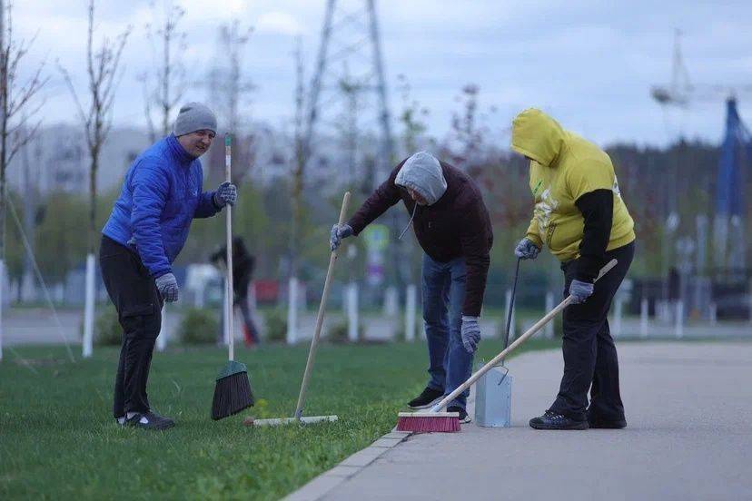 ТехноСубботник: «Алабушево»